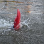 Unser Sportwart Stefan macht's vor